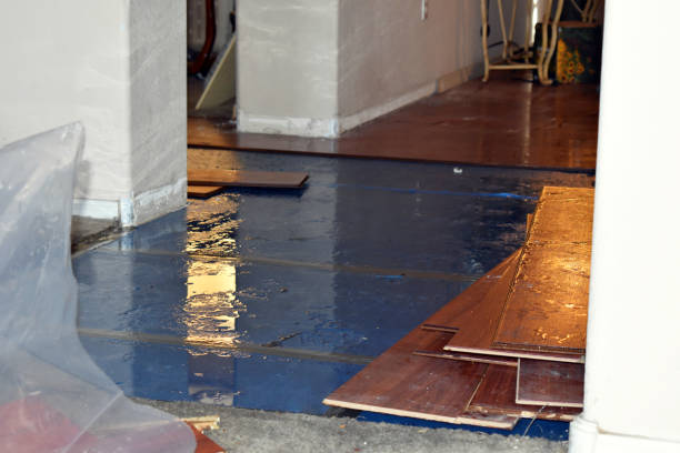 Professional Burst Pipe Cleanup technician working in Blanchard, MI
