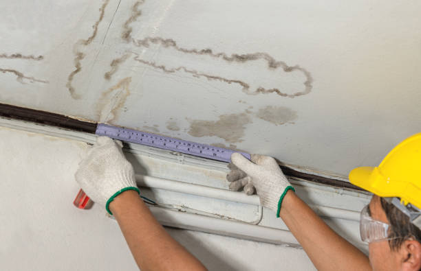 Reliable Burst Pipe Cleanup contractor in Blanchard, MI by Water Damage Irwin